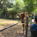 기린여행사(주) | 푸꾸옥 빈펄사파리 빈원더스 하루에 즐기는 꿀팁
