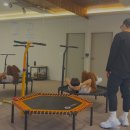 탐스앤짐 이미지