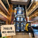 디자인코리아뮤지엄 | 베어브릭커넥트 파주 데이트 코스 추천 국내 최대 규모 이색 뮤지엄 카페