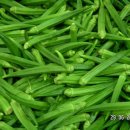 레이디본 이미지