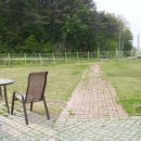 카사노바에리켄넬 이미지