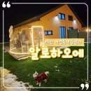 태안 독채 풀빌라 제프리 | 태안 애견독채풀빌라 알로하오에 다녀온 후기