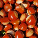 오광농장 이미지