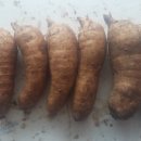 천마통신 이미지