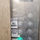 개들만찬 이미지