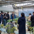 김종규 농장 이미지