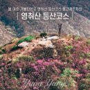 상암초교 | 봄 여수 가볼만한곳 영취산 진달래축제 등산코스 돌고개주차장