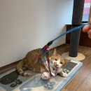 하품민박 이미지