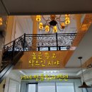 미친서각마을 축제장 | 개화 🌼 거제 공곶이수목원 수선화 (26.3.18 방문후기) 사람없는 시간 방문팁 🌼 / 거제 팜풀빌라펜션...