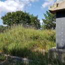 장지마을 이미지