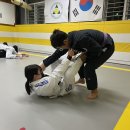 신사 아카데미 합기도·유도·키즈짐·주짓수 | [청주/오송 존프랭클 주짓수] 오송에서 누구나 쉽게 주짓수를 배울 수 있어요