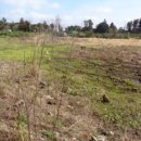 표선리-25 이미지