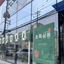 성수 팝업, 식물 마켓 초록살롱 방문 후기