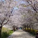 마곡박사공인중개사사무소 이미지