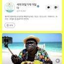 파리바게뜨한국병원점 | 7월 세부 여행 4박 6일 1️⃣ |오캐모 투어, 블루워터 마리바고 비치 리조트