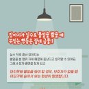 디아나동물병원 네이버블로그