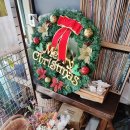 박강수콘서트 | 인간극장 박강수 담양 창평 라이브 카페 내돈내산 후기