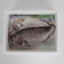 산삼꽃피는마을 | 🐟 반건조 감성돔, 바다의 풍미 그대로 — 소라꽃피는마을 후기 💙