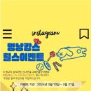 멍냥캉스 이미지