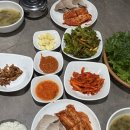 용이보쌈 | [시청] 직장인 점심 / 저녁 회식 맛집 '고려보쌈' 후기
