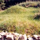 신양1리 이미지