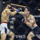 카우보이mma 이미지