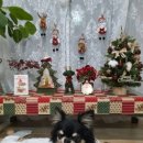 까까 주시개 이미지