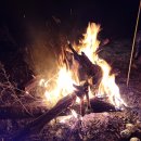 낭만캠프 이미지