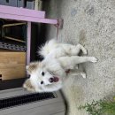 다시면 복지회관 이미지