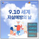 화암고등학교 | 자살예방교육 생명존중 울산화암고등학교 &lt;9월10일 세계자살예방의날&gt; 울산자살예방전문강사 정영혜강사