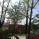 영종동주민센터 이미지