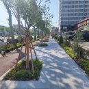 포스코대로 이미지