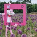 부흥 마을회관 이미지