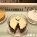 빌리엔젤마리오아울렛