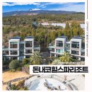 길동중앙약국 | 한라산뷰 제주 서귀포 애견동반 숙소 돈내코힐스파리조트