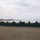 제주도상회
