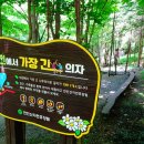 대전둘레길만인산 이미지