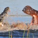 하마농장 이미지