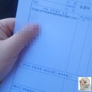 큰나무약국 | 김 피부과, 종합 대형약국 처방부터 마운자로 구입 및 성지에서 3개월간 감량 후기 및 금액 소개 드립니다