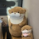 크레페원 이미지