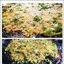 생수식당 이미지