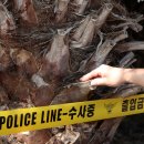 과반농장 디지털타임스