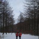 하늘공원 Daum카페