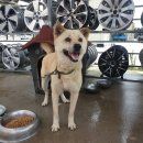 누리상사 이미지