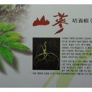 석부작박물관 이미지
