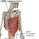 동의명가한의원 이미지