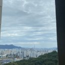 9월 일상 (1) 경복궁 와인바 / 경복궁 카페 / 남산타워 / 서울역 만리재로 맛집
