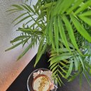 모또서비스 이미지