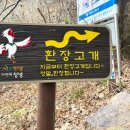 평원 이미지