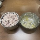 대구 동성로 중앙로 돌판낙지볶음 내돈내산 맛집 추천 웨이팅 후기 : 신라식당